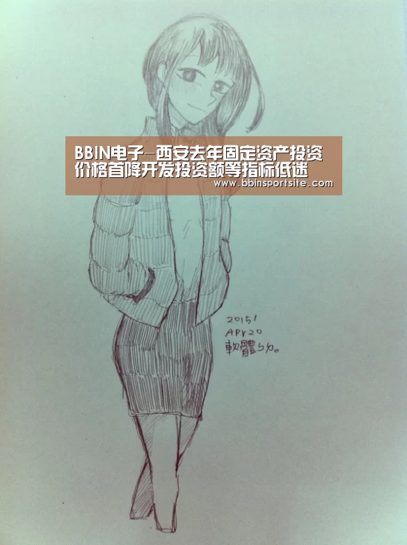 BBIN电子-西安去年固定资产投资价格首降开发投资额等指标低迷(图3) BBIN入口