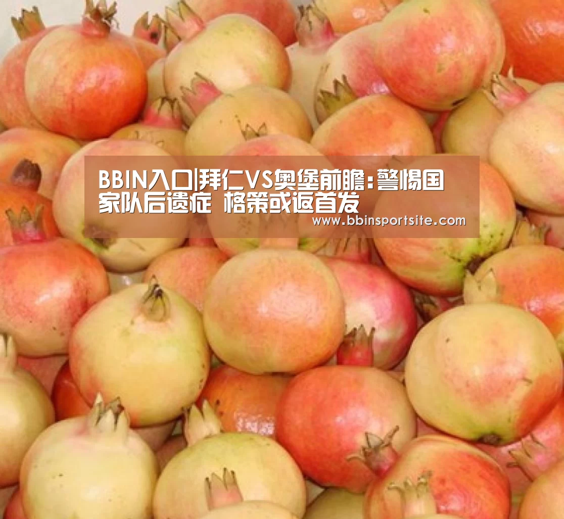 BBIN电子