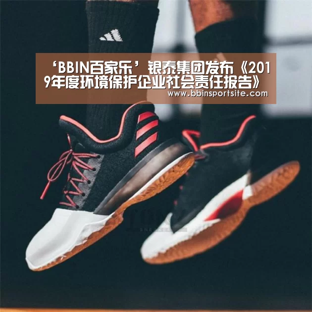 ‘BBIN百家乐’银泰集团发布《2019年度环境保护企业社会责任报告》(图3) BBIN百家乐