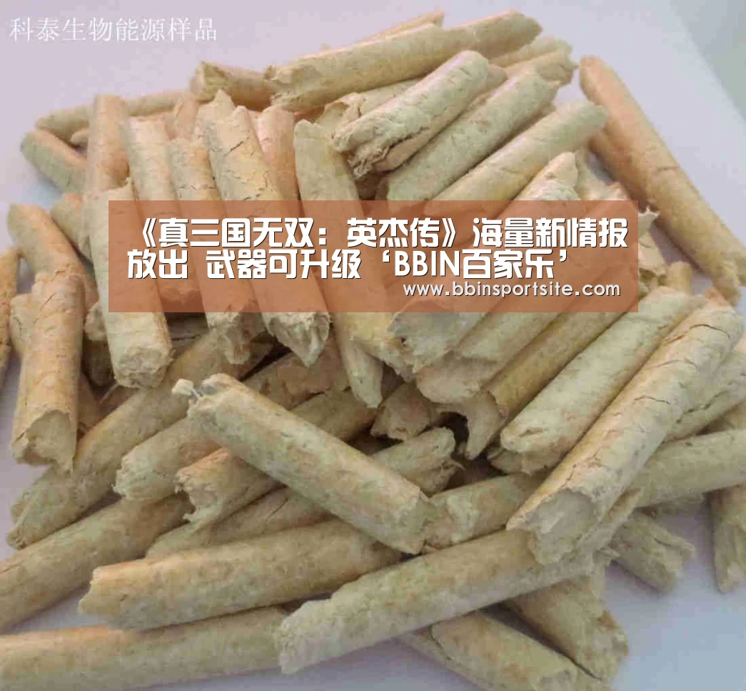 BBIN官网