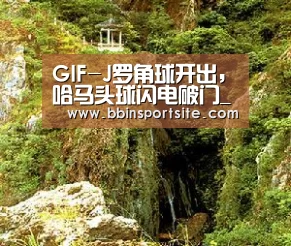 GIF-J罗角球开出,哈马头球闪电破门_BBIN入口(图2) BBIN电子