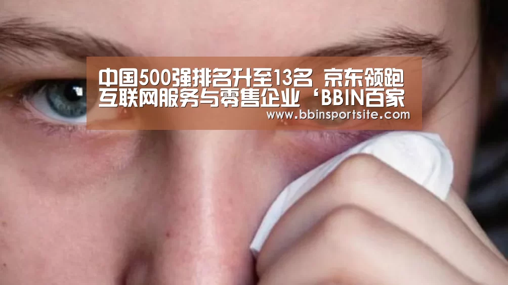 中国500强排名升至13名 京东领跑互联网服务与零售企业‘BBIN百家乐’(图1) BBIN电子