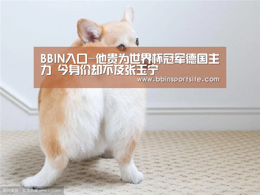 BBIN入口-他贵为世界杯冠军德国主力 今身价却不及张玉宁(图4) BBIN电子