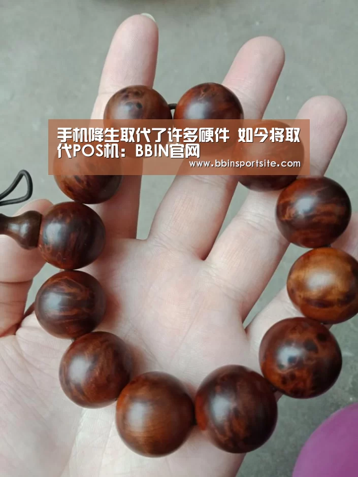 手机降生取代了许多硬件 如今将取代POS机:BBIN官网(图2) BBIN百家乐
