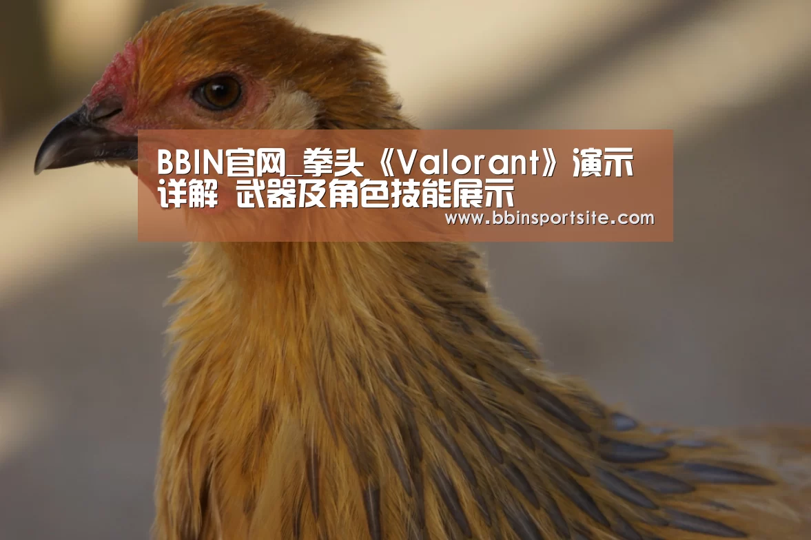 BBIN官网_拳头《Valorant》演示详解 武器及角色技能展示(图1) BBIN入口