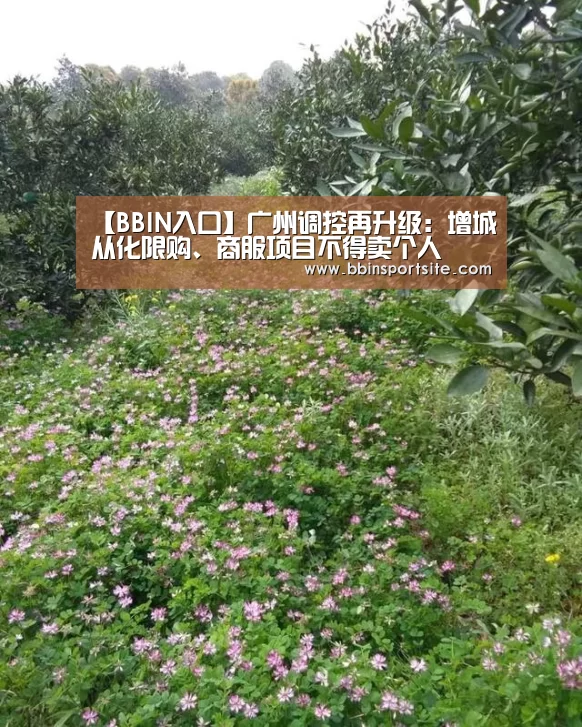 BBIN百家乐