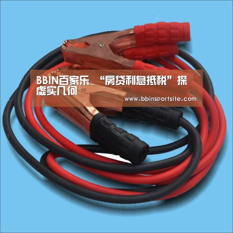 BBIN百家乐_“房贷利息抵税”探虚实几何(图3) BBIN入口