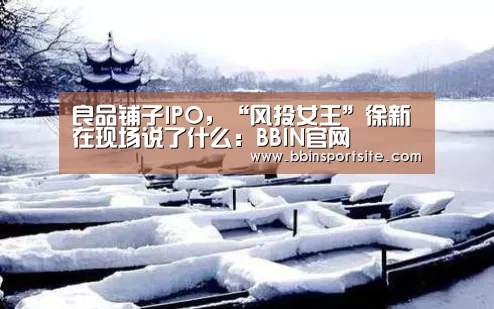 良品铺子IPO,“风投女王”徐新在现场说了什么:BBIN官网(图1) BBIN官网